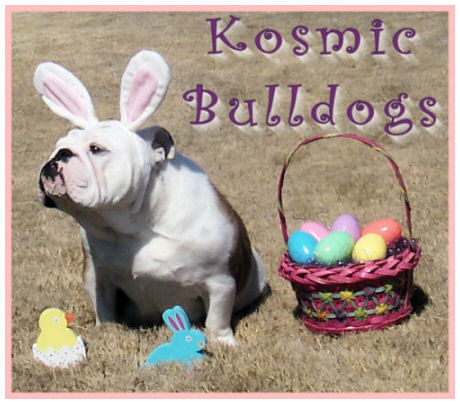 EasterBullyAva