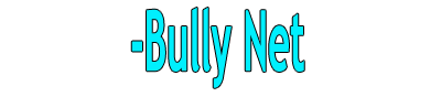 Bully-Net2