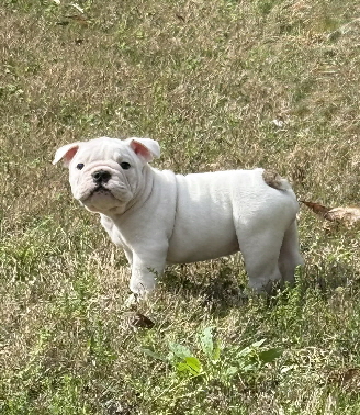 Ivywhitegirl2 Ivywhitegirl2