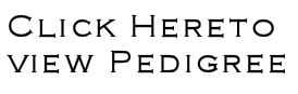Pedigree