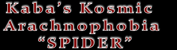 Spiderpage5