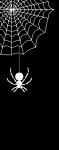 halloweenspiderandweb