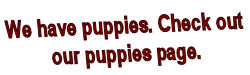 linkwehavepups linkwehavepups